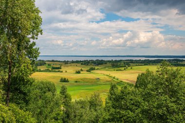 yaz güneşi rahatlama için yeşil orman parkı yaktı