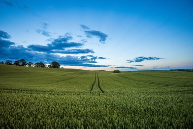 kırsal manzara üzerinde beyaz bulutlar ile mavi gökyüzü