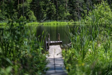 güzel ahşap tahta boardwalk yeşil shor ile mavi göl içine eğilir