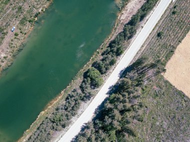 orman alanında yeşil gölün havadan drone görünümü