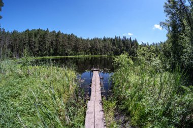 güzel ahşap tahta boardwalk yeşil shor ile mavi göl içine eğilir