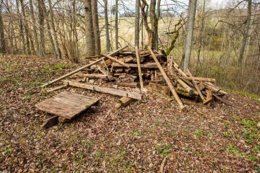 yaz aylarında orman ormanda yasadışı çöplük
