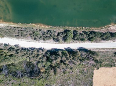 orman alanında yeşil gölün havadan drone görünümü