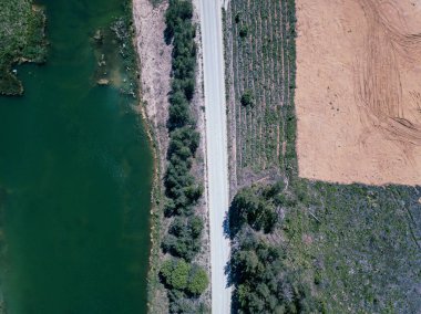 orman alanında yeşil gölün havadan drone görünümü