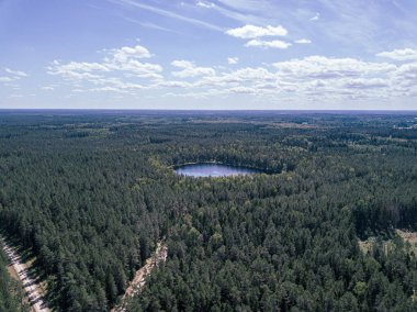 orman alanında yeşil gölün havadan drone görünümü