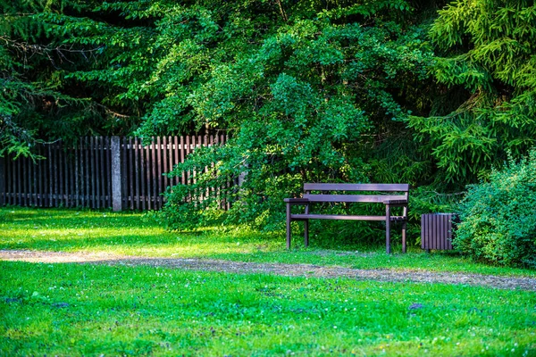 Sol de verão iluminado parque florestal verde para relaxamento — Fotografia de Stock