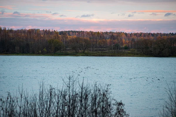 Lago floresta escura profunda com reflexos de árvores e folhagem verde — Fotografia de Stock