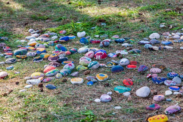 Lixeira ilegal na floresta no verão — Fotografia de Stock