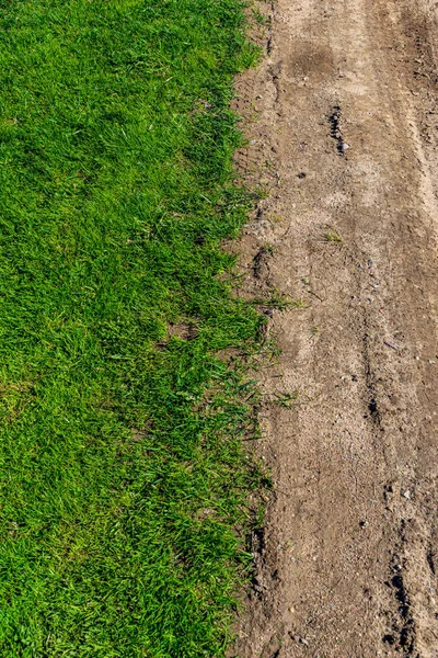 Frische grüne Sommer Frühling Laub strukturierten Hintergrund mit Unschärfe — Stockfoto