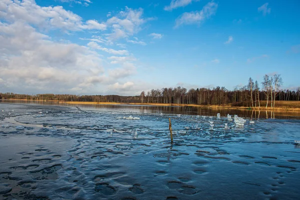 Torra gamla gräs bents i vatten konsistens — Stockfoto