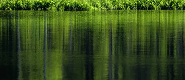 deep dark forest lake with reflections of trees and green foliag