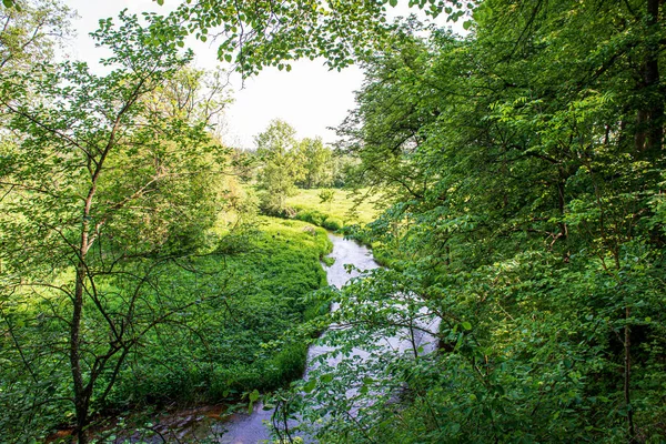 Summer sun lit green forest park for relaxsation — Stock Photo, Image