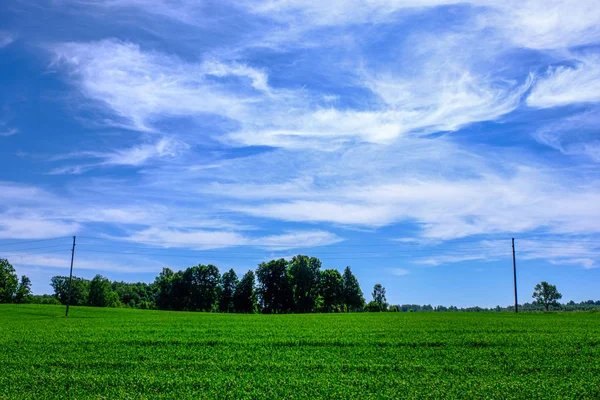 Blauer Himmel mit weißen Wolken über der Landschaft — Stockfoto