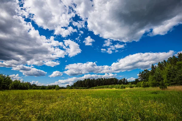 Ciel bleu avec nuages blancs au-dessus du paysage rural — Photo