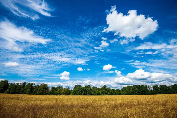 Ciel bleu avec nuages blancs au-dessus du paysage rural — Photo