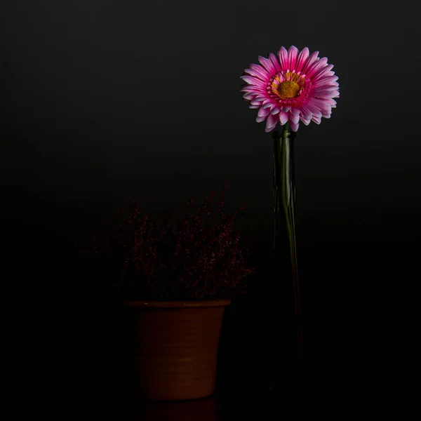 自然的莫特组成与花，花瓶和对等在桌子上 — 图库照片