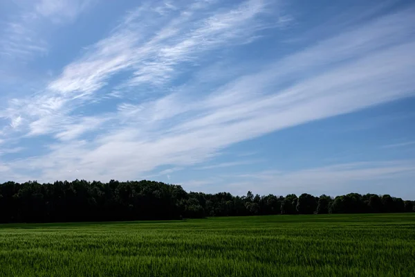 Ciel bleu avec nuages blancs au-dessus du paysage rural — Photo