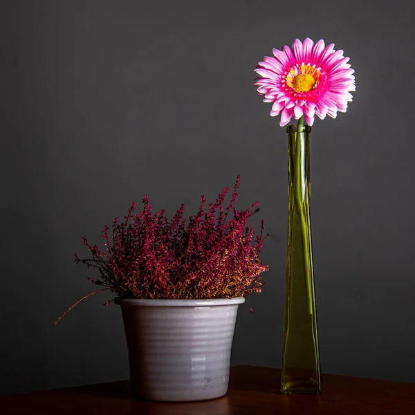 Природна композиція з квіткою, вазою і грудьми на столі — стокове фото