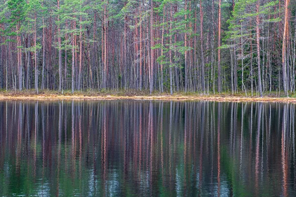 deep dark forest lake with reflections of trees and green foliag