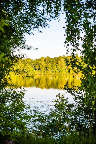 deep dark forest lake with reflections of trees and green foliag