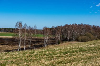 geç sonbaharda boş kırsal yaşam manzara