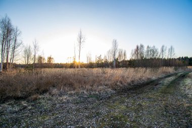 geç sonbaharda boş kırsal yaşam manzara