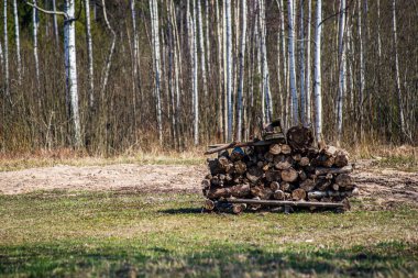 açık havada şömine günlük ahşap kazık