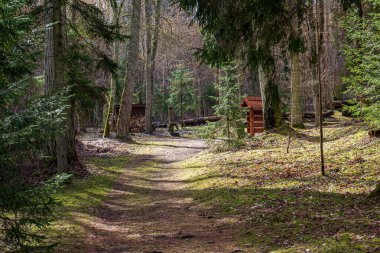 geç sonbaharda boş kırsal yaşam manzara