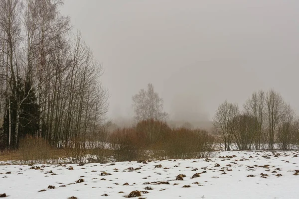 晩秋の空っぽの田舎の生活風景 — ストック写真