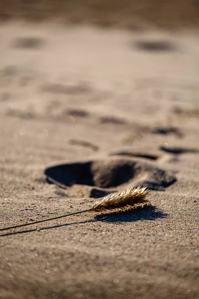 Spiaggia di sabbia bianca vuota senza persone — Foto Stock