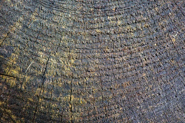 Куча дров камина под открытым небом — стоковое фото