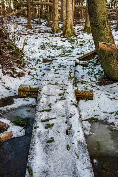 Ścieżka kładki drewnianej w zimie pod śniegiem — Zdjęcie stockowe