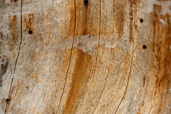 Vecchia tavola di legno superficie testurizzata con schegge e crepe — Foto Stock