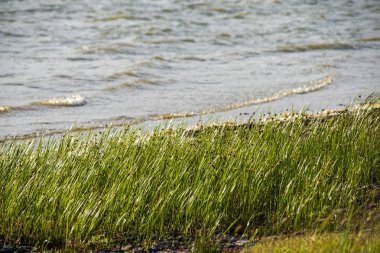 hiçbir kişi ile boş beyaz kum plaj