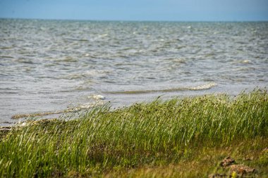 hiçbir kişi ile boş beyaz kum plaj