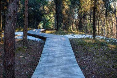 Kışın kar altında tahta köprü yolu.