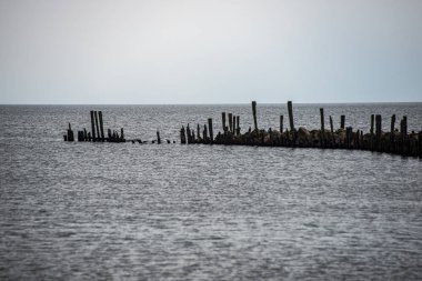 hiçbir kişi ile boş beyaz kum plaj