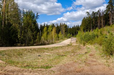 geç sonbaharda boş kırsal yaşam manzara