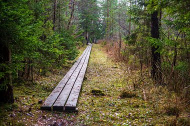 Kışın kar altında tahta köprü yolu.