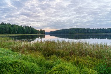 geç sonbaharda boş kırsal yaşam manzara