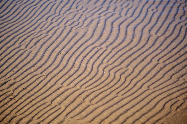 Pusta piaszczysta plaża bez ludzi — Zdjęcie stockowe