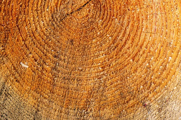 Куча дров камина под открытым небом — стоковое фото