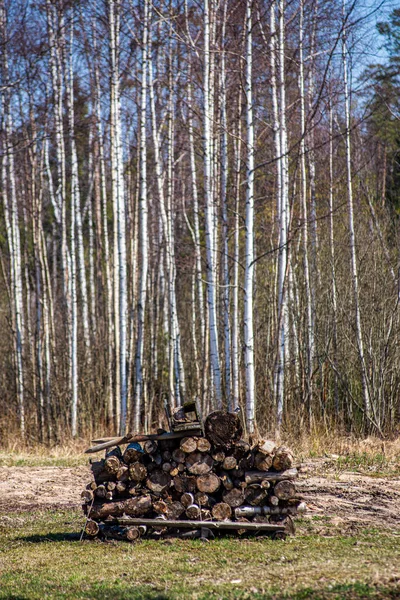 Купа деревини камінних колод на відкритому повітрі — стокове фото