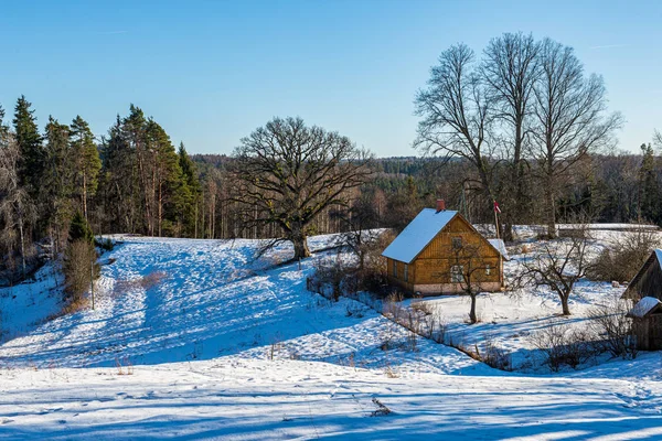 Invierno surise sobre campos de campo y bosque en frío —  Fotos de Stock