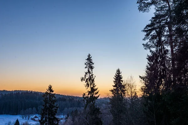 Inverno surise sobre campos rurais e floresta no frio — Fotografia de Stock