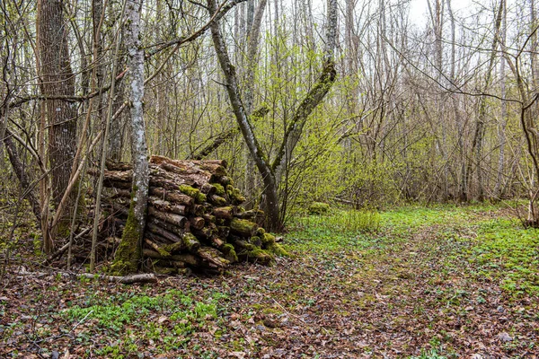 Mucchio di legna legna da ardere camino all'aperto — Foto Stock