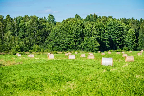 Prázdný Venkovská krajina na konci podzimu — Stock fotografie