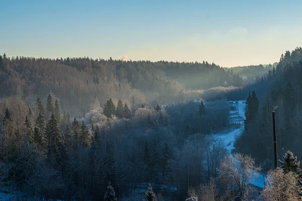 Inverno surise sobre campos rurais e floresta no frio — Fotografia de Stock