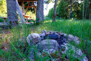 ülke doğa bahçesinde çim ve yeşillik doku