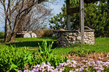 ülke doğa bahçesinde çim ve yeşillik doku